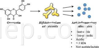 bifidobacterium adolesentis4